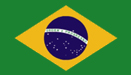 Copart Brasil Flag